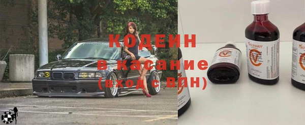 хмурый Горно-Алтайск
