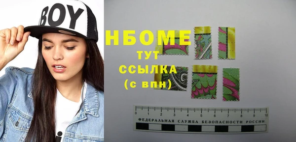 индика Горнозаводск