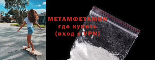 индика Горнозаводск