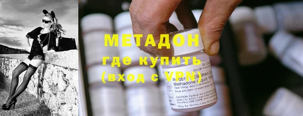 сатива Гусь-Хрустальный