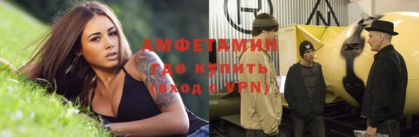 индика Горнозаводск