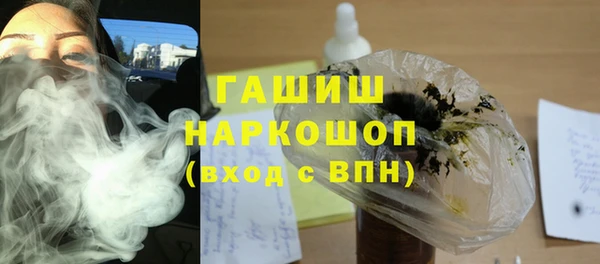индика Горнозаводск