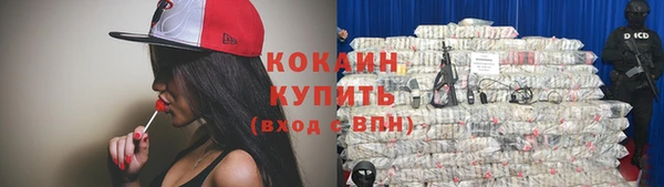 индика Горнозаводск
