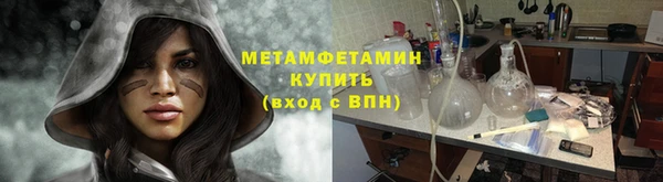 сатива Гусь-Хрустальный