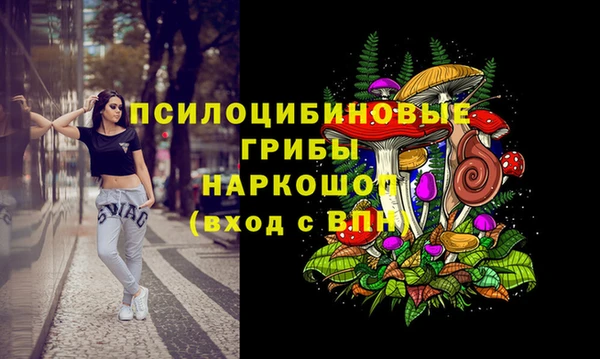 хмурый Горно-Алтайск
