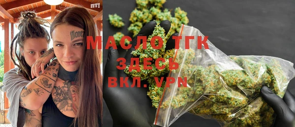 индика Горнозаводск