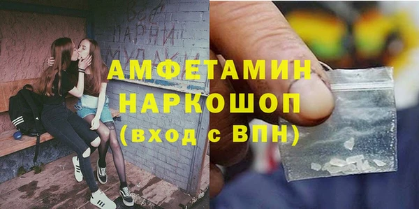 индика Горнозаводск