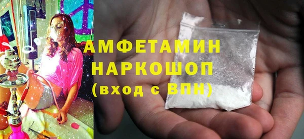 индика Горнозаводск