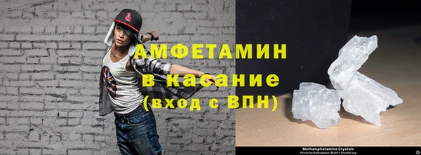 индика Горнозаводск