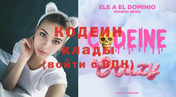 хмурый Горно-Алтайск